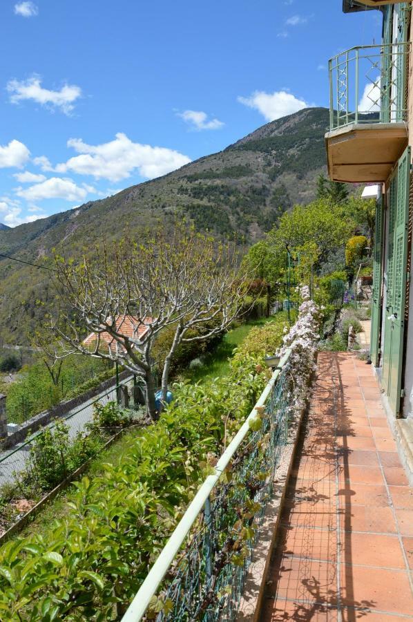Villa Rosemarie Valdeblore Exteriér fotografie